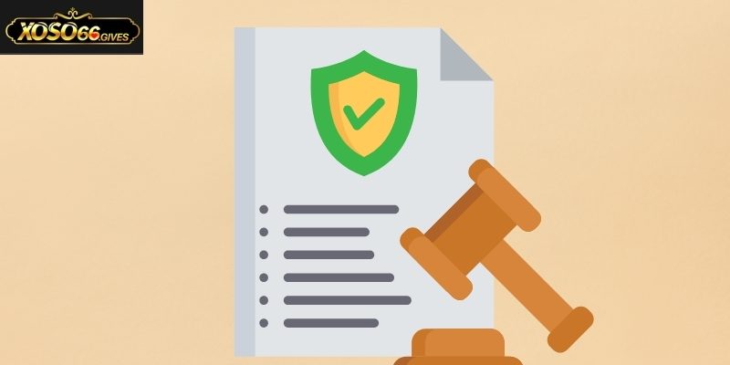 Tuân thủ đúng điều khoản và điều kiện để được trải nghiệm