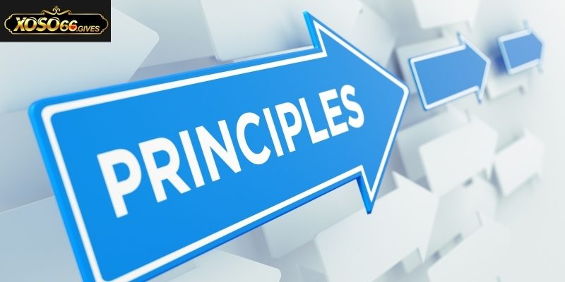 Đồng hành lâu bền là nguyên tắc cốt lõi của về chúng tôi